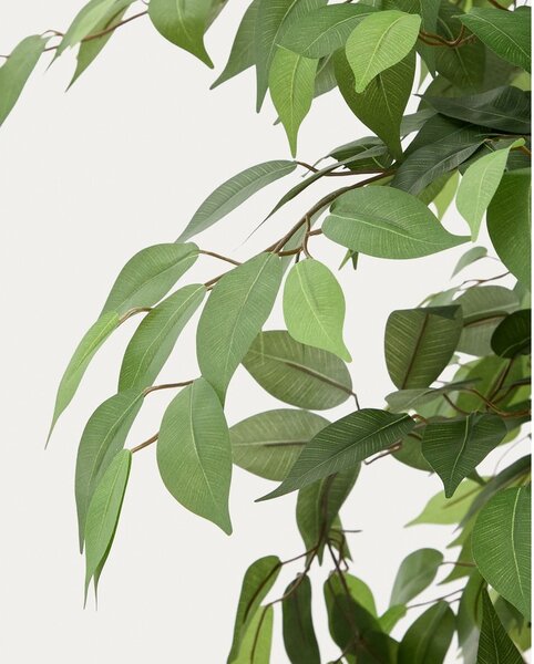 Fikusz műnövény (magasság 180 cm) Ficus – Kave Home