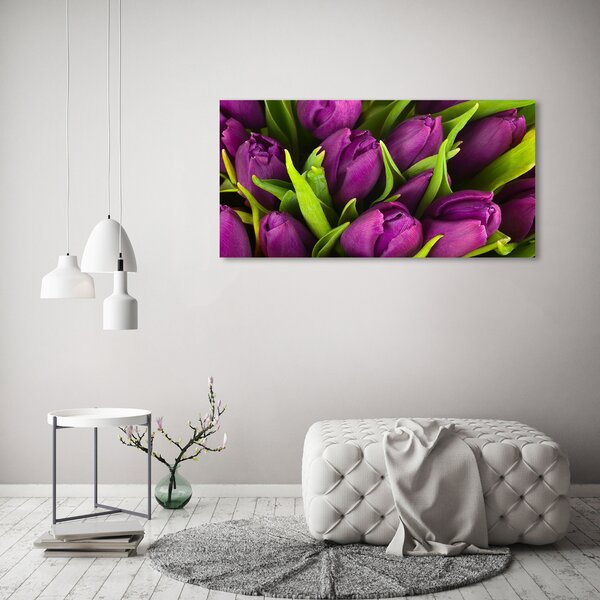 Akrilkép Lila tulipánok