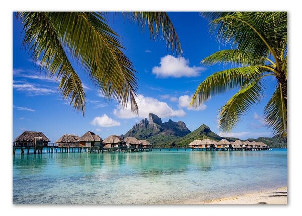 Üvegfotó Pálmafák bora bora