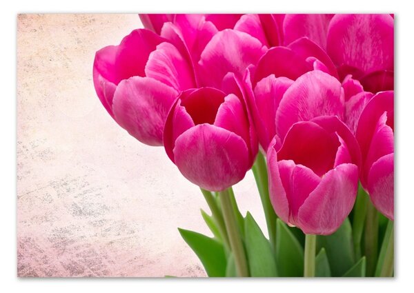 Akrilkép Rózsaszín tulipánok