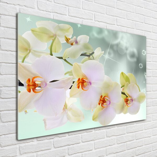 Egyedi üvegkép Fehér orchidea