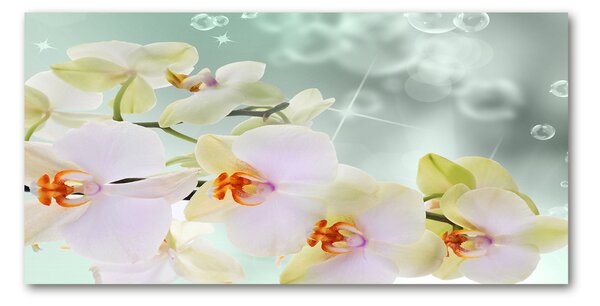 Akrilkép Fehér orchidea