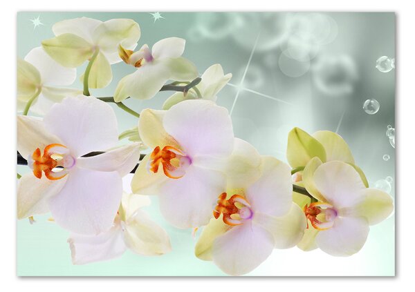 Egyedi üvegkép Fehér orchidea