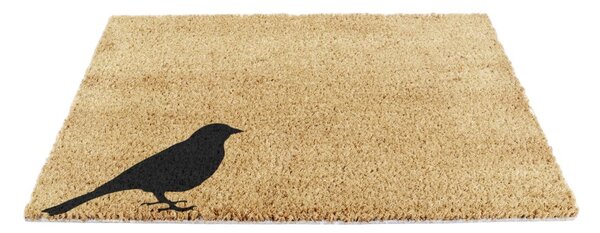 Kókuszrost lábtörlő 40x60 cm Bird – Artsy Doormats