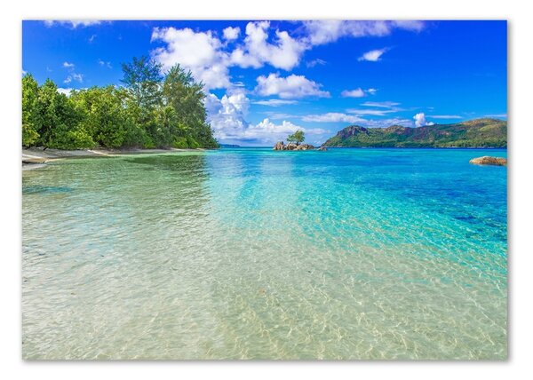 Akrilüveg fotó Strand seychelles