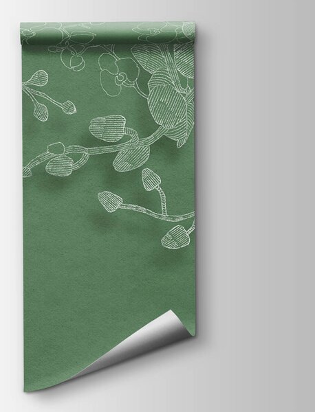 Fotótapéta Finom orchideák zöld háttér előtt, Virágos fotótapéta, Népszerű fotótapéta, t00526 - Tapeko.hu