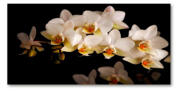 Akrilkép Orchidea