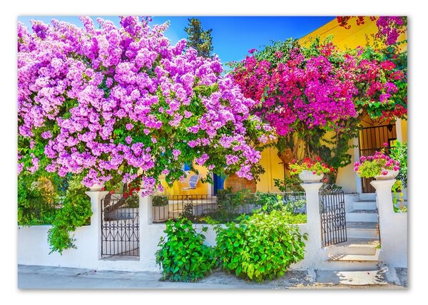 Egyedi üvegkép Ház bougainvillea