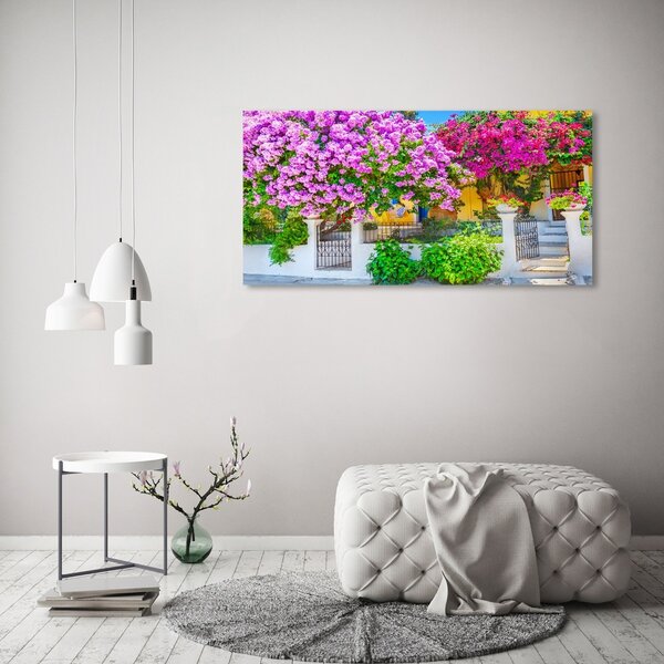 Akrilkép Ház bougainvillea