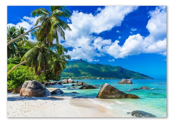 Akrilüveg fotó Seychelles strand