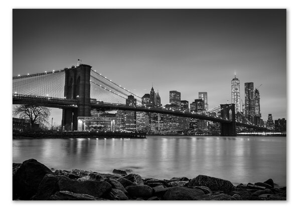 Üvegfotó New york