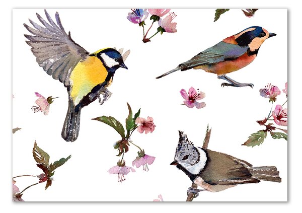 Akrilkép Bird cseresznye virágok
