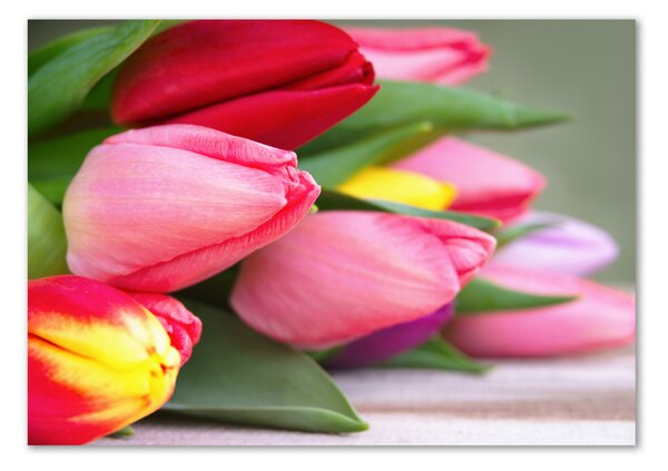 Akrilkép Színes tulipán