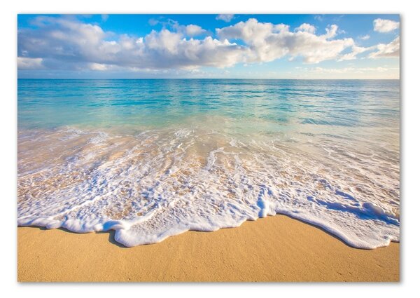 Akrilüveg fotó Hawaii beach