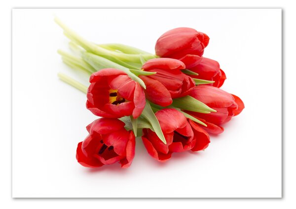 Akrilkép Piros tulipánok