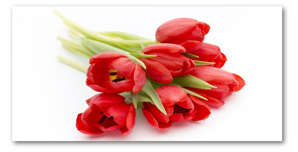 Akrilkép Piros tulipánok