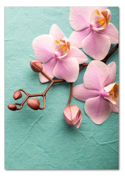 Egyedi üvegkép Rózsaszín orchidea