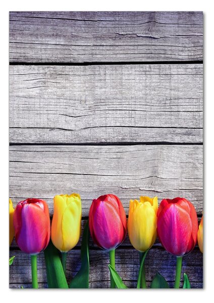 Egyedi üvegkép Színes tulipán