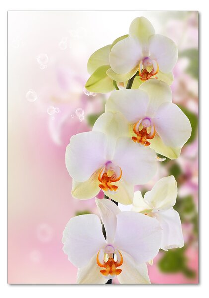 Egyedi üvegkép Fehér orchidea