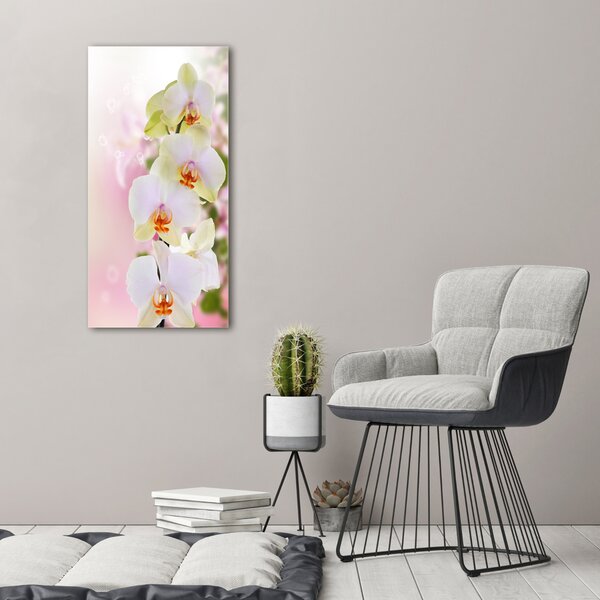 Egyedi üvegkép Fehér orchidea