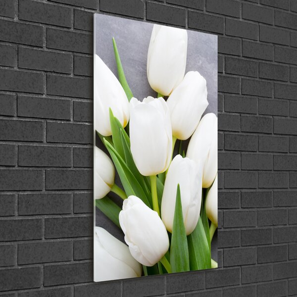 Egyedi üvegkép Fehér tulipán