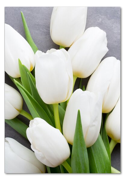 Egyedi üvegkép Fehér tulipán