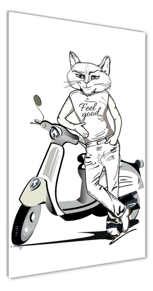 Üvegkép Cat férfi