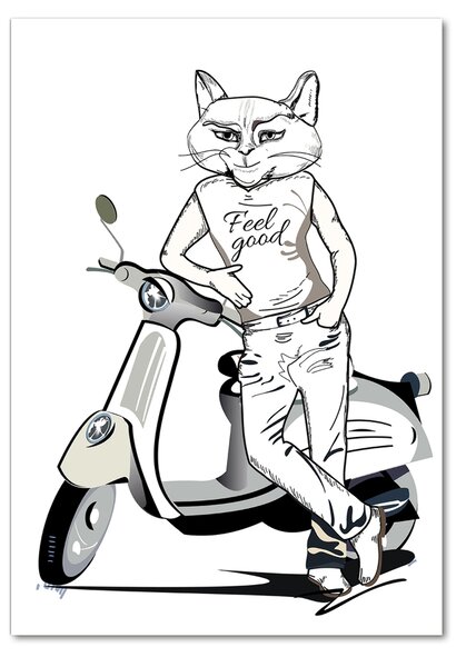 Üvegkép Cat férfi