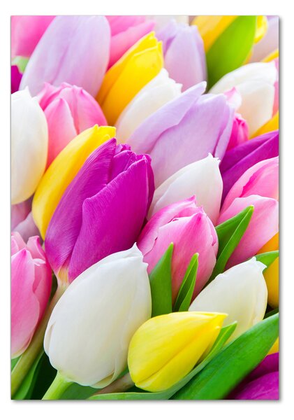 Egyedi üvegkép Színes tulipán