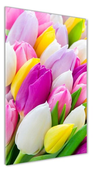 Egyedi üvegkép Színes tulipán
