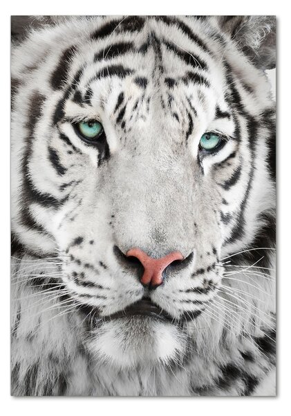 Üvegkép Fehér tigris