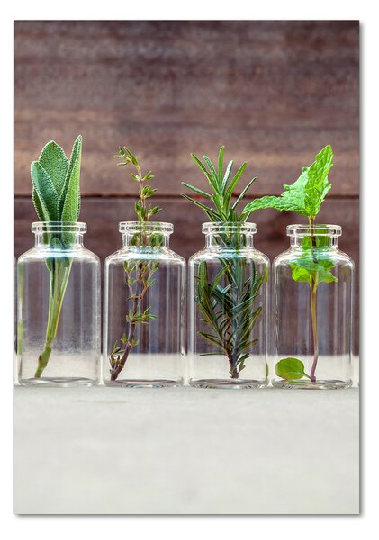 Egyedi üvegkép Herbs a tégelyek