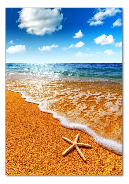 Üvegfotó Starfish a strandon