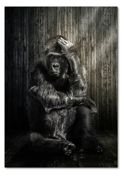 Üvegkép Gorilla