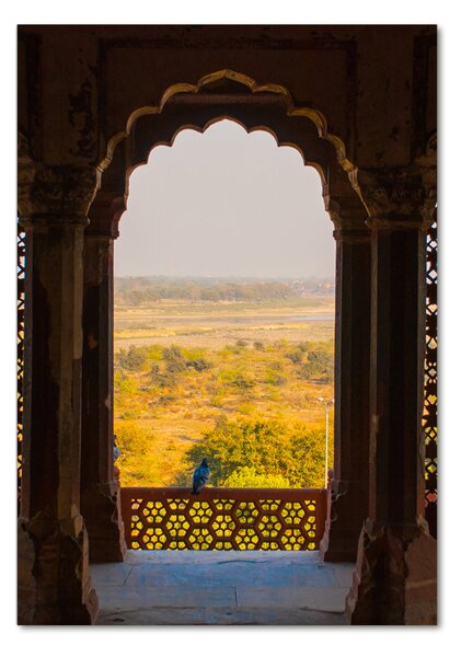 Üvegkép falra Agra fort india