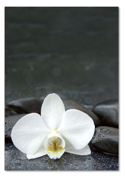 Egyedi üvegkép Orchidea kövek