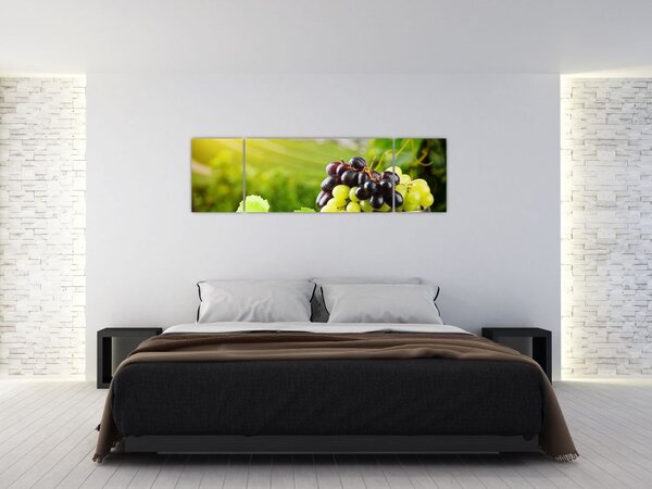 Kép - szőlő (170x50cm)