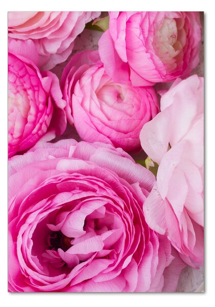Egyedi üvegkép Pink glaukóma