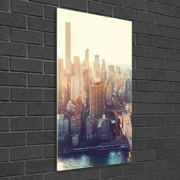 Üvegkép falra New york-i járat madár