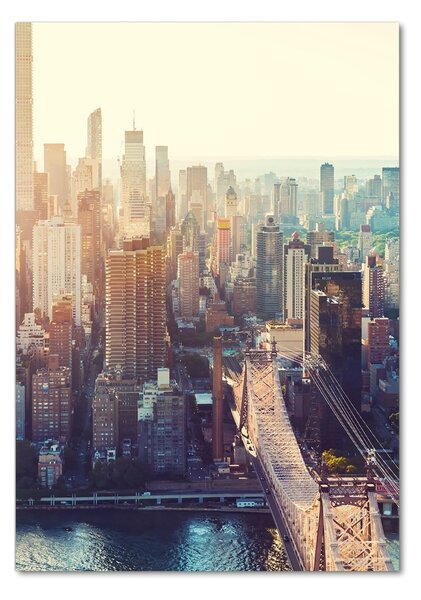 Üvegkép falra New york-i járat madár