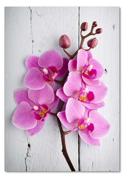 Egyedi üvegkép Rózsaszín orchidea