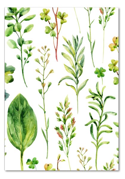 Photo kép üveg Weeds és gyógynövények