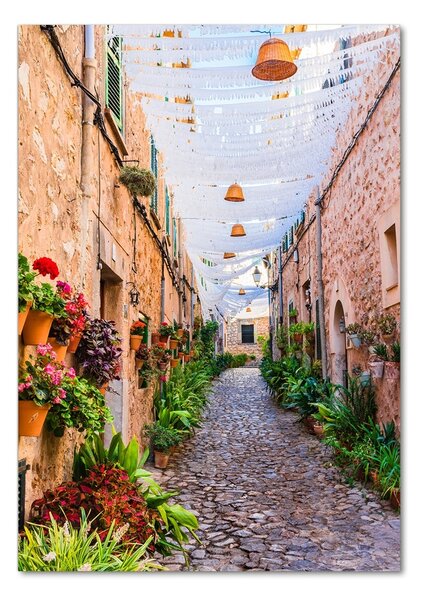 Üvegkép falra Mallorca spanyolország