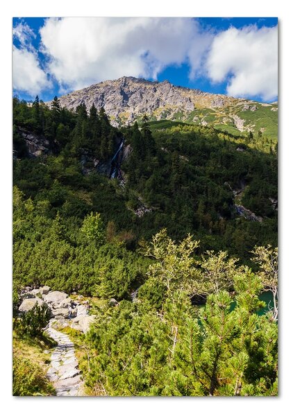 Üvegfotó Marine szem tatry