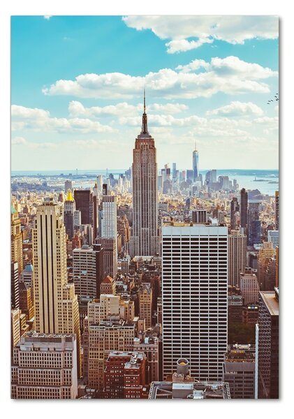 Üvegkép falra New york-i járat madár
