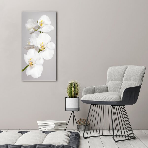 Vászonkép nyomtatás Fehér orchidea
