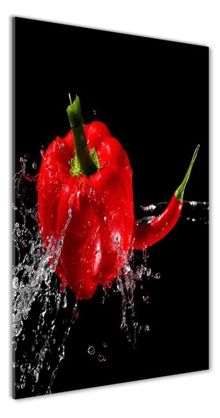 Photo kép üveg Két paprika