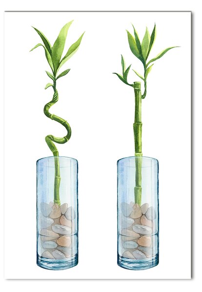 Egyedi üvegkép Bamboo egy bankot
