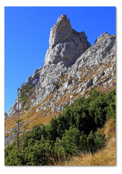 Üvegfotó Kis giewont tatra