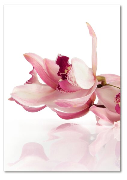 Egyedi üvegkép Rózsaszín orchidea